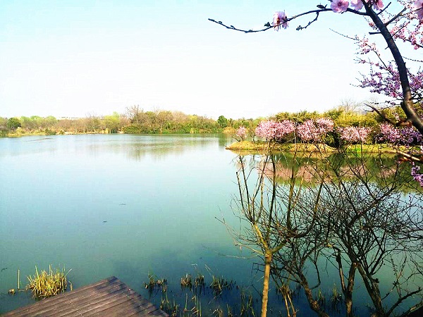 致“蟹”老友——天堂硅谷舉辦中西合璧答“蟹”宴